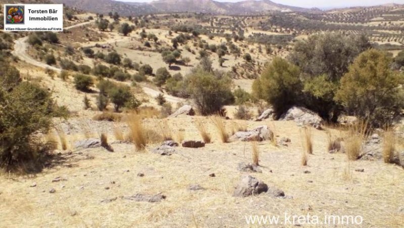 Sivas Süd Kreta,Sivas Baugrundstück mit Meerbick 5360 m² Grundstück kaufen